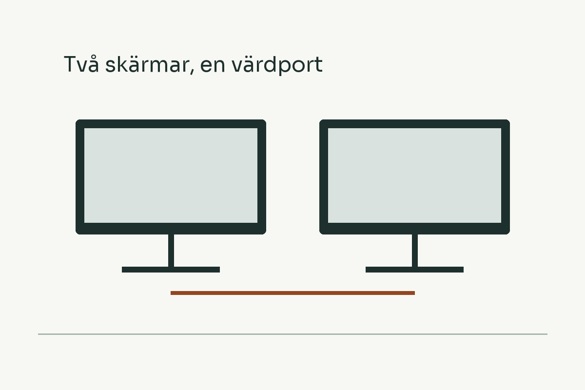 Illustration av två externa skärmar som delar en värdport